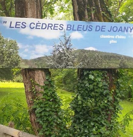 Cedres Bleus De Joany Chez Nathalie Viviez Exteriér fotografie