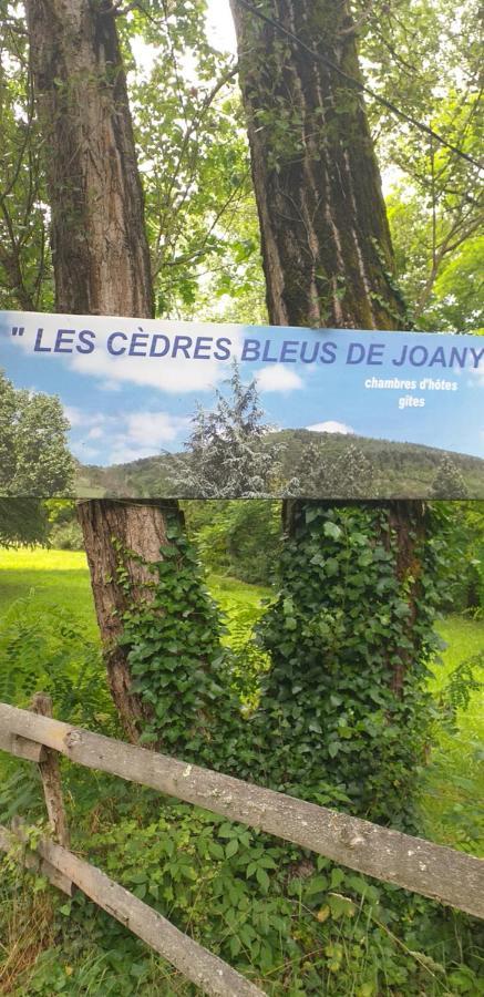Cedres Bleus De Joany Chez Nathalie Viviez Exteriér fotografie