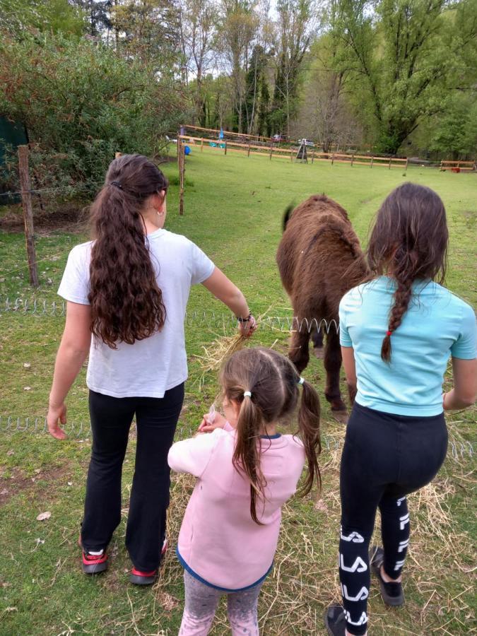 Cedres Bleus De Joany Chez Nathalie Viviez Exteriér fotografie